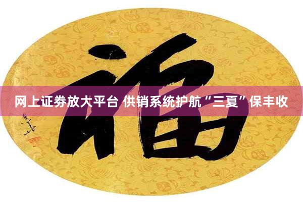 网上证劵放大平台 供销系统护航“三夏”保丰收