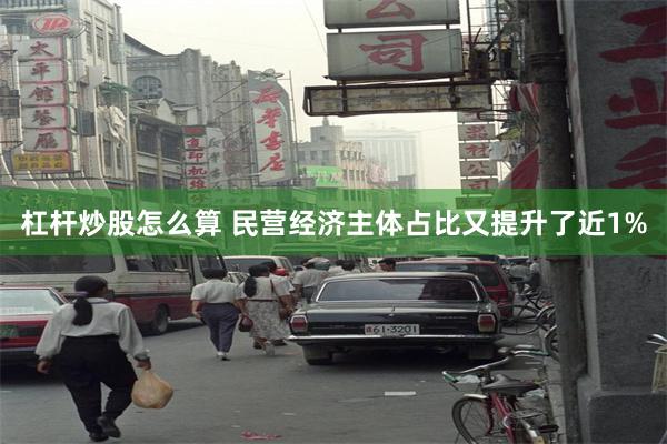 杠杆炒股怎么算 民营经济主体占比又提升了近1%