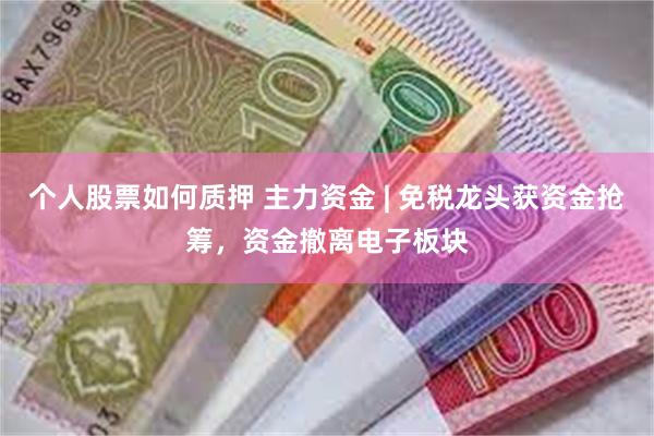 个人股票如何质押 主力资金 | 免税龙头获资金抢筹，资金撤离电子板块