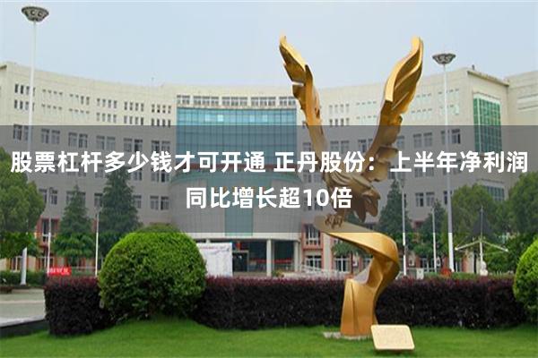 股票杠杆多少钱才可开通 正丹股份：上半年净利润同比增长超10倍