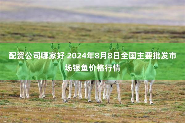 配资公司哪家好 2024年8月8日全国主要批发市场银鱼价格行情