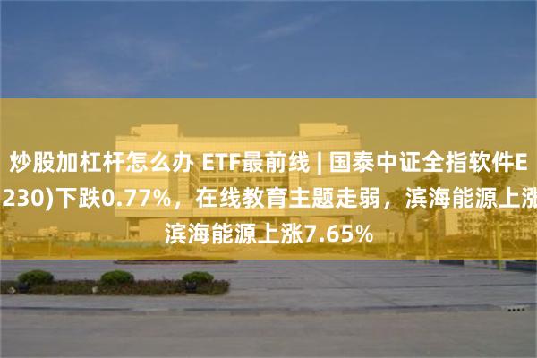 炒股加杠杆怎么办 ETF最前线 | 国泰中证全指软件ETF(515230)下跌0.77%，在线教育主题走弱，滨海能源上涨7.65%