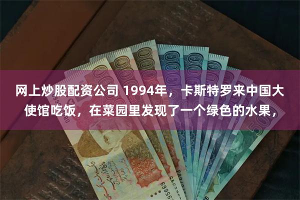 网上炒股配资公司 1994年，卡斯特罗来中国大使馆吃饭，在菜园里发现了一个绿色的水果，