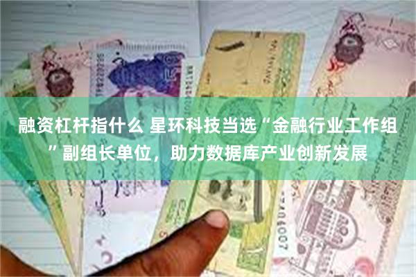 融资杠杆指什么 星环科技当选“金融行业工作组”副组长单位，助力数据库产业创新发展