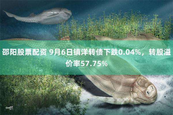 邵阳股票配资 9月6日镇洋转债下跌0.04%，转股溢价率57.75%