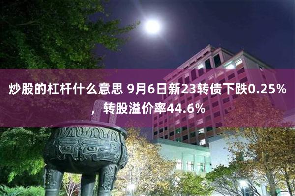 炒股的杠杆什么意思 9月6日新23转债下跌0.25%，转股溢价率44.6%