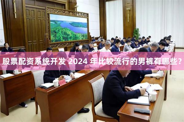 股票配资系统开发 2024 年比较流行的男裤有哪些？