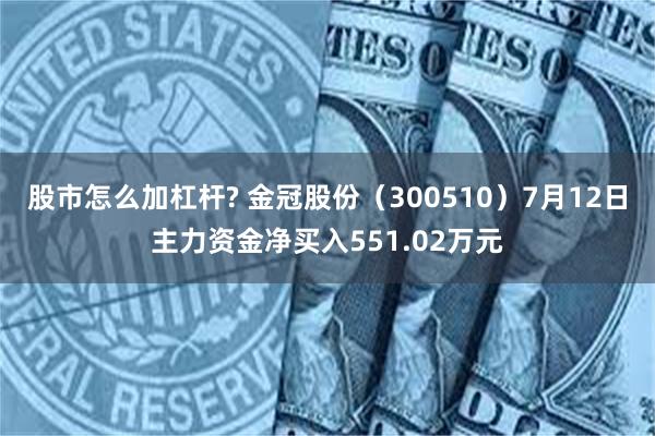 股市怎么加杠杆? 金冠股份（300510）7月12日主力资金净买入551.02万元