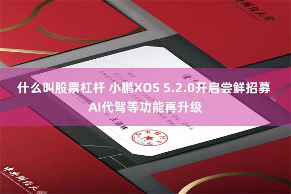 什么叫股票杠杆 小鹏XOS 5.2.0开启尝鲜招募 AI代驾等功能再升级