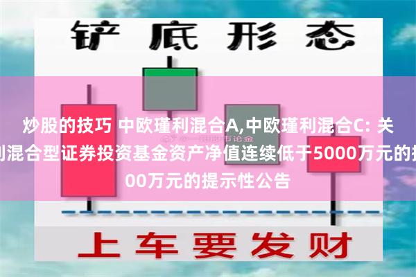 炒股的技巧 中欧瑾利混合A,中欧瑾利混合C: 关于中欧瑾利混合型证券投资基金资产净值连续低于5000万元的提示性公告