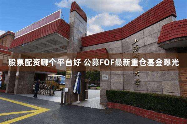 股票配资哪个平台好 公募FOF最新重仓基金曝光