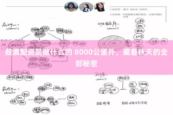 股票配资是做什么的 8000公里外，藏着秋天的全部秘密