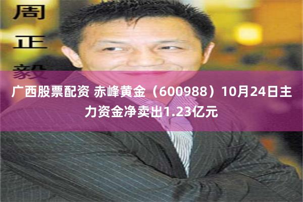 广西股票配资 赤峰黄金（600988）10月24日主力资金净卖出1.23亿元