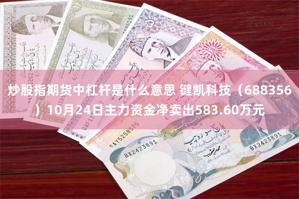 炒股指期货中杠杆是什么意思 键凯科技（688356）10月24日主力资金净卖出583.60万元