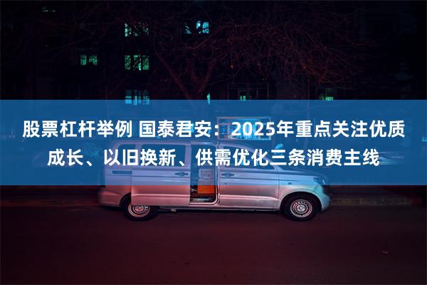 股票杠杆举例 国泰君安：2025年重点关注优质成长、以旧换新、供需优化三条消费主线