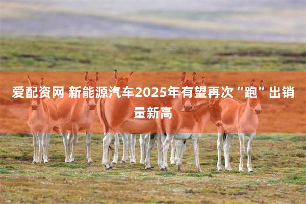 爱配资网 新能源汽车2025年有望再次“跑”出销量新高