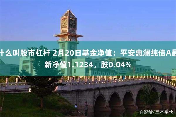 什么叫股市杠杆 2月20日基金净值：平安惠澜纯债A最新净值1.1234，跌0.04%